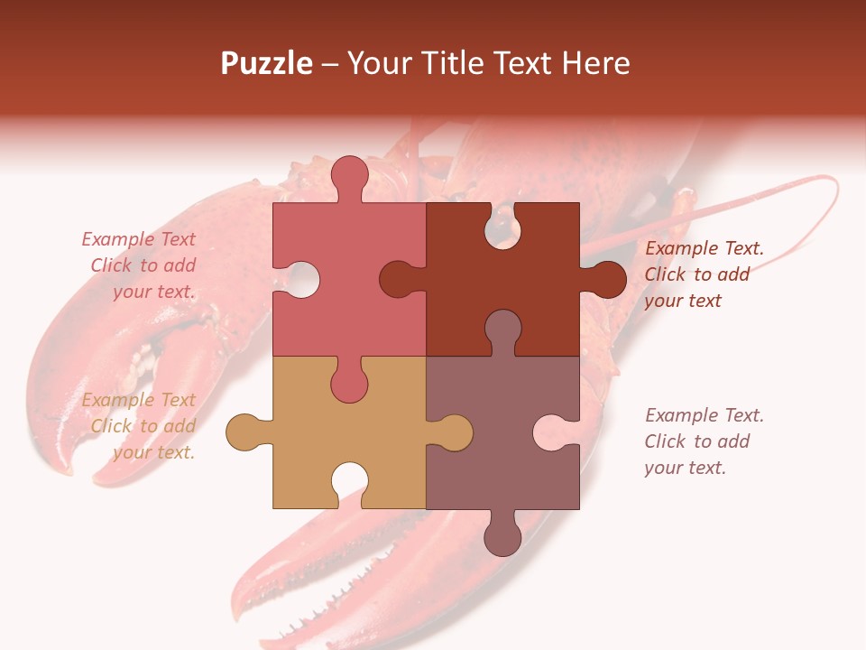 Length White Marines PowerPoint Template