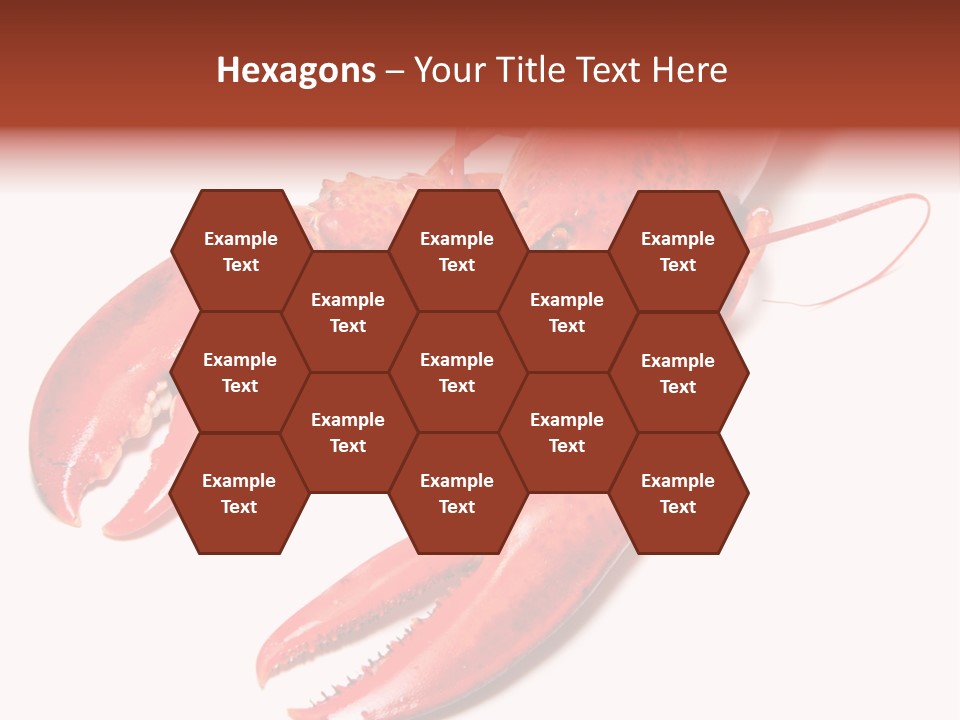 Length White Marines PowerPoint Template