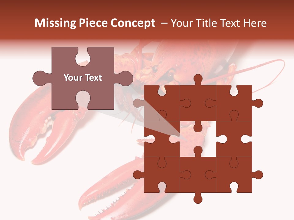 Length White Marines PowerPoint Template