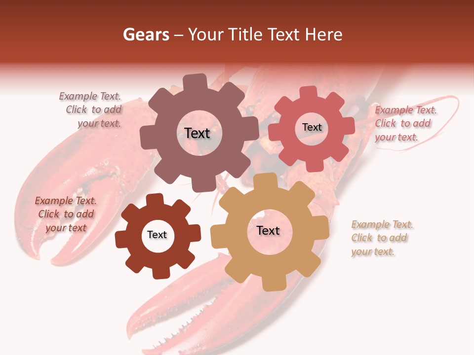 Length White Marines PowerPoint Template