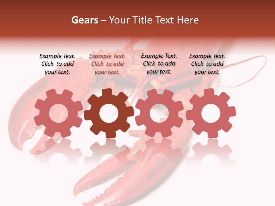 Length White Marines PowerPoint Template