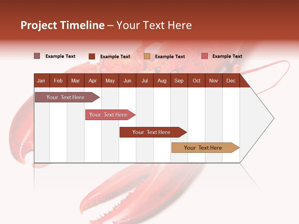 Length White Marines PowerPoint Template