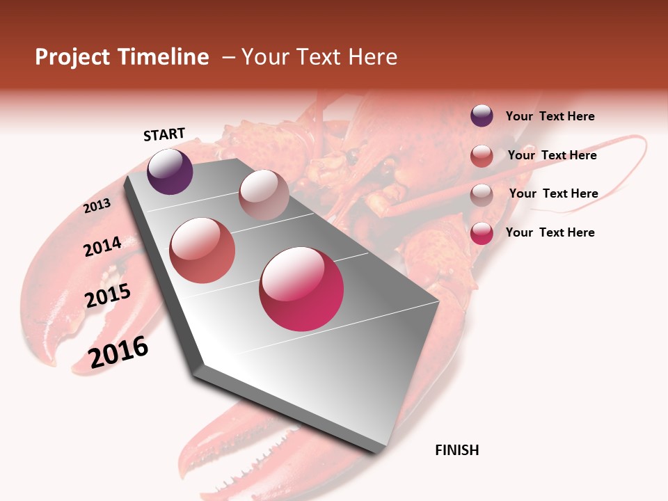 Length White Marines PowerPoint Template