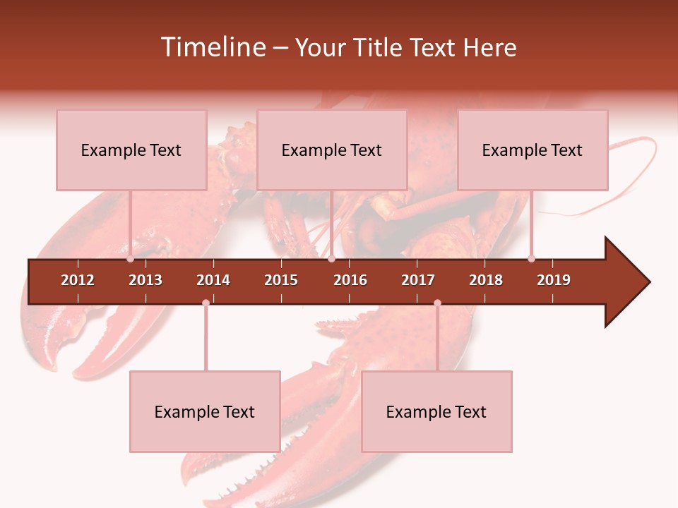 Length White Marines PowerPoint Template