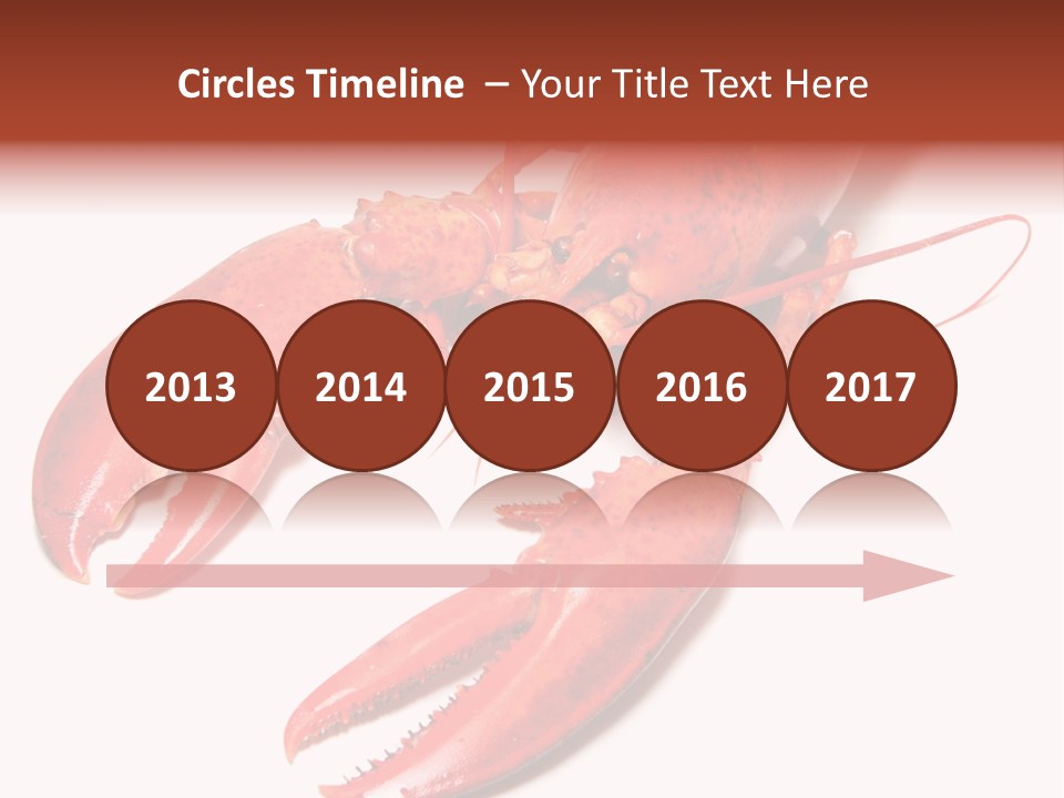 Length White Marines PowerPoint Template