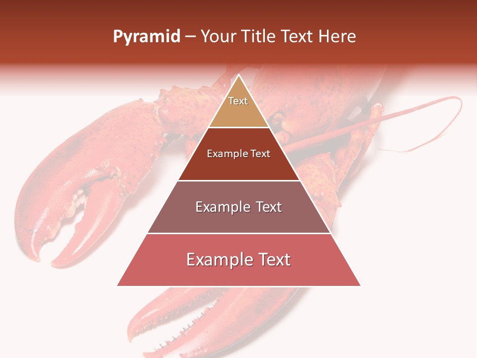 Length White Marines PowerPoint Template