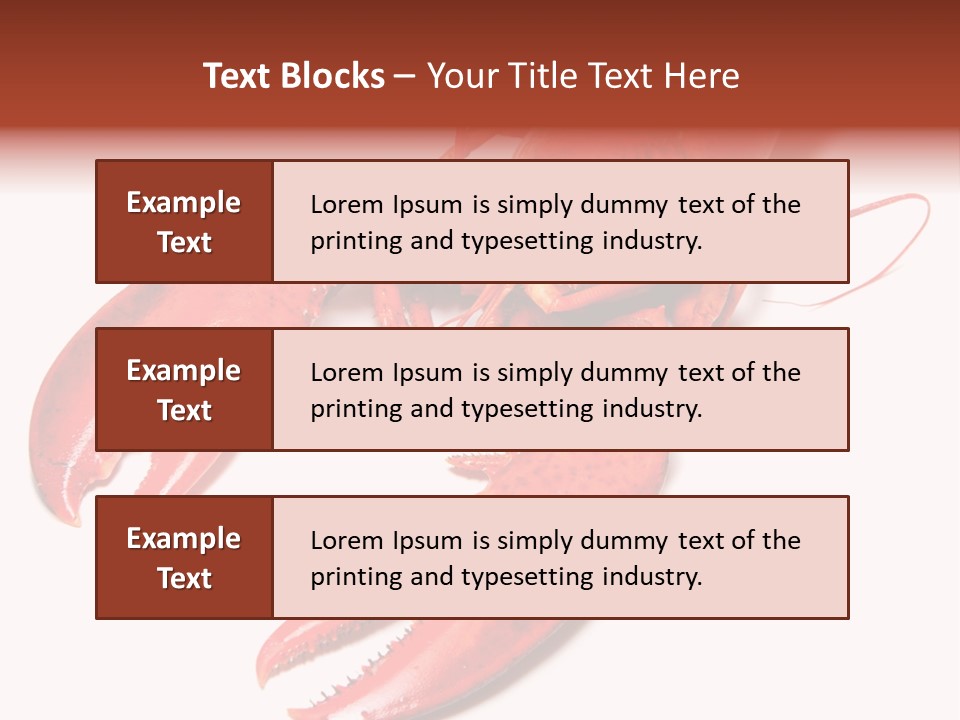 Length White Marines PowerPoint Template