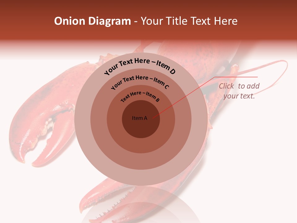 Length White Marines PowerPoint Template