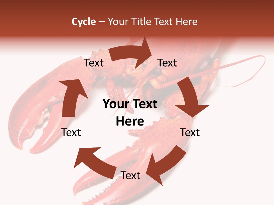 Length White Marines PowerPoint Template