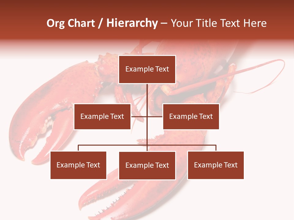 Length White Marines PowerPoint Template