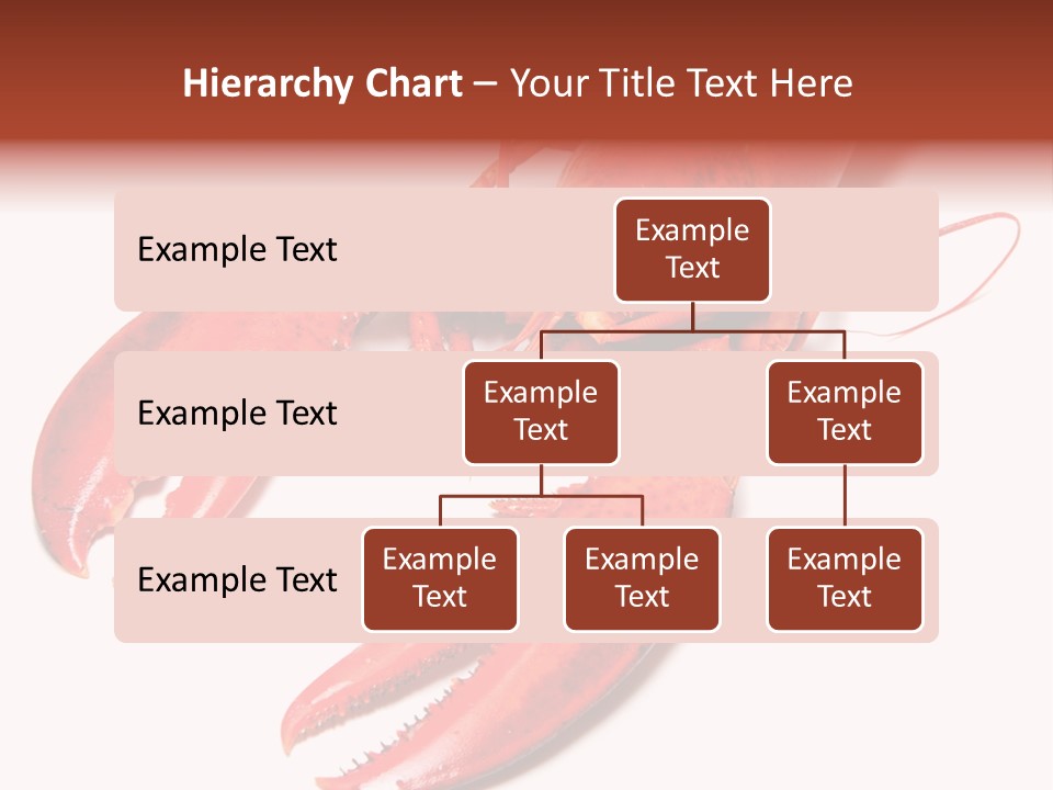 Length White Marines PowerPoint Template