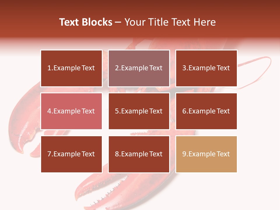 Length White Marines PowerPoint Template