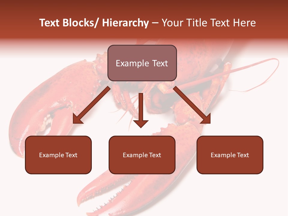 Length White Marines PowerPoint Template