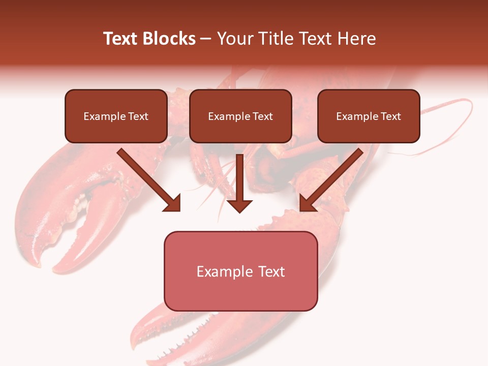 Length White Marines PowerPoint Template