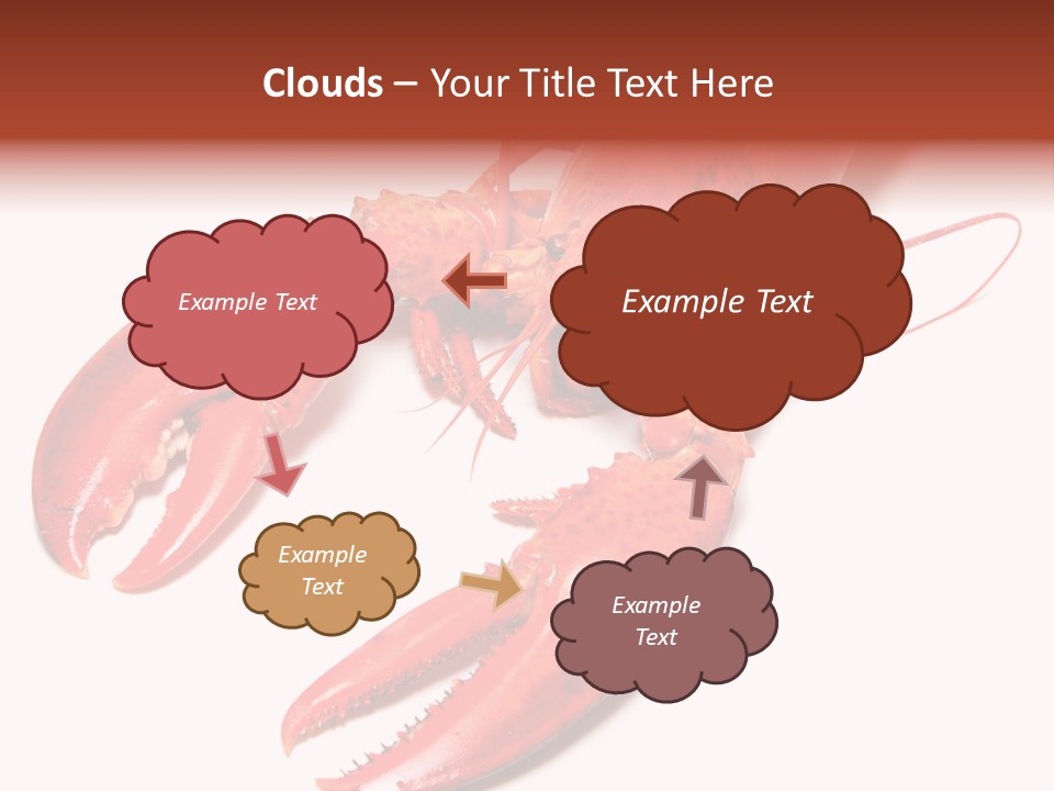Length White Marines PowerPoint Template