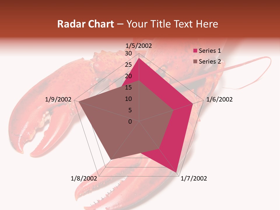Length White Marines PowerPoint Template