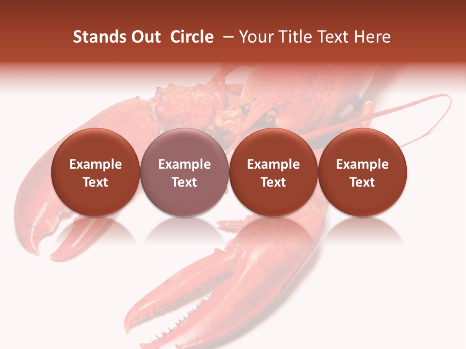 Length White Marines PowerPoint Template