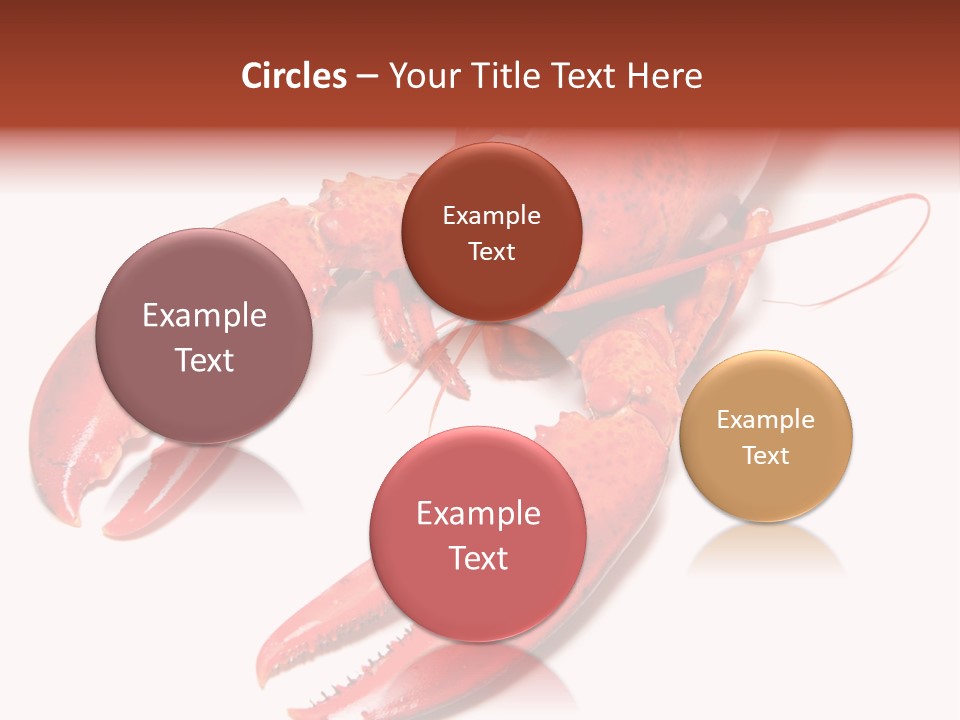 Length White Marines PowerPoint Template