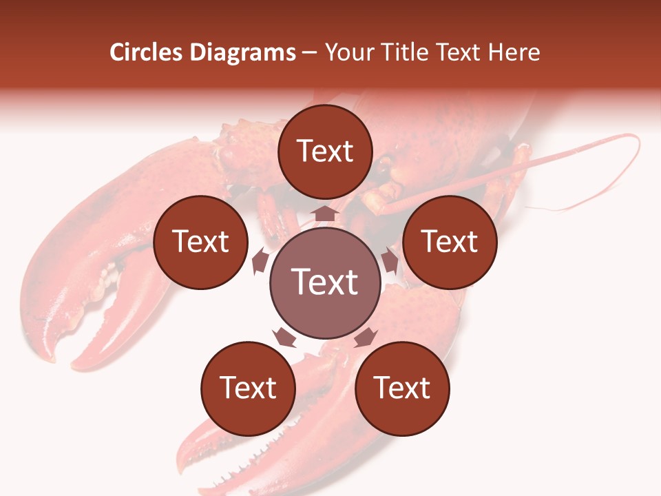 Length White Marines PowerPoint Template