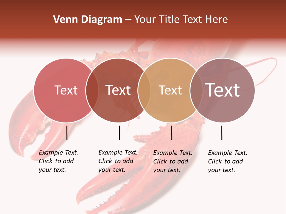 Length White Marines PowerPoint Template