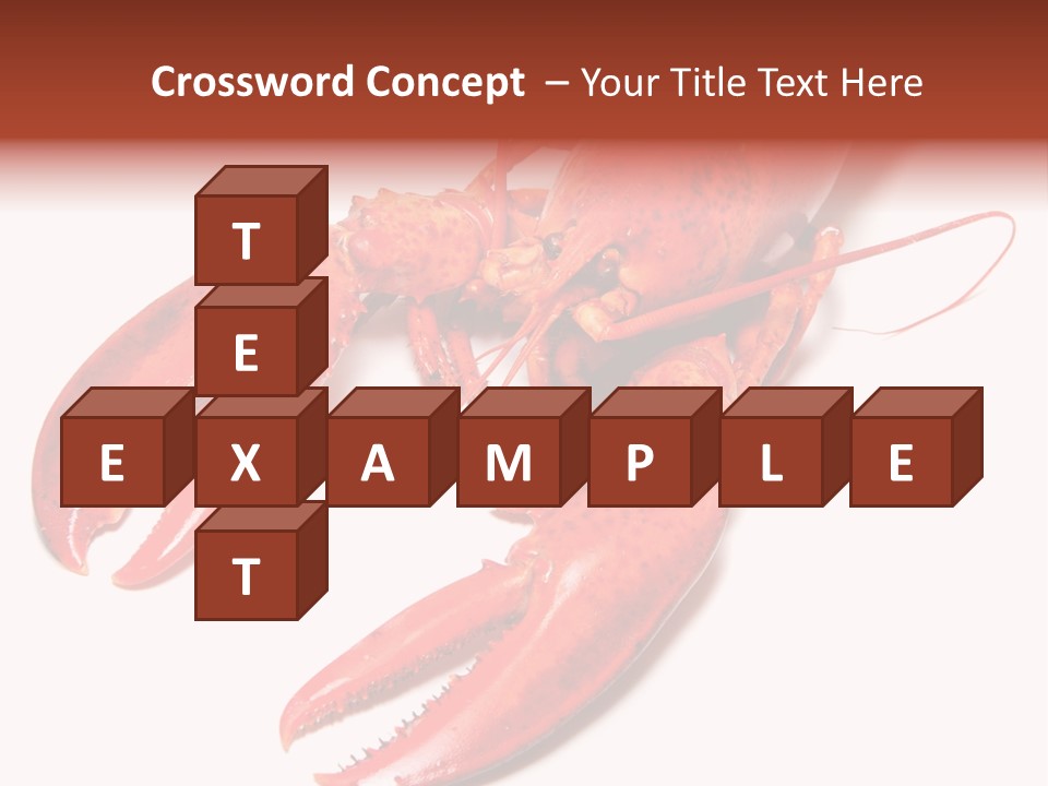 Length White Marines PowerPoint Template