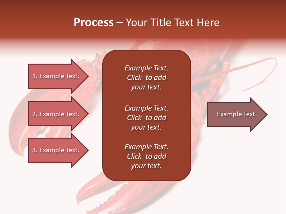 Length White Marines PowerPoint Template