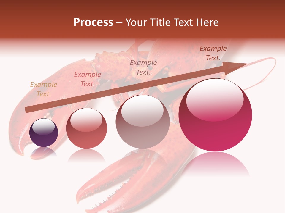 Length White Marines PowerPoint Template