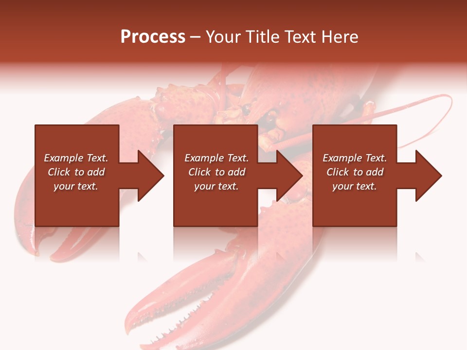 Length White Marines PowerPoint Template