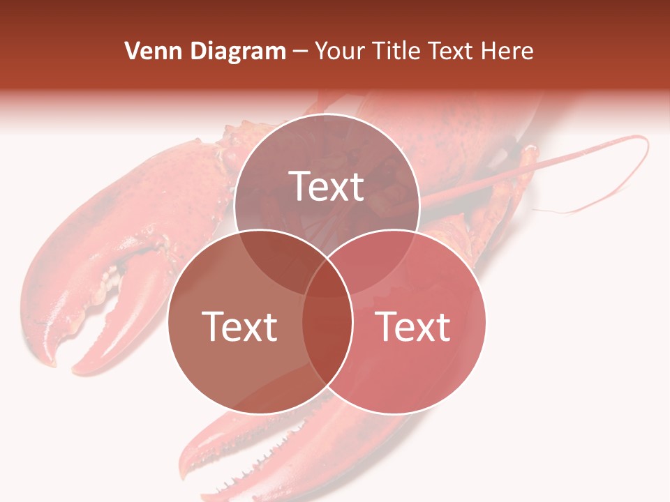 Length White Marines PowerPoint Template