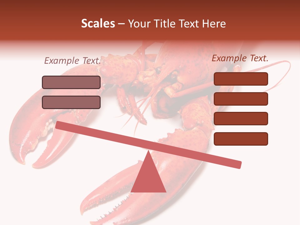 Length White Marines PowerPoint Template