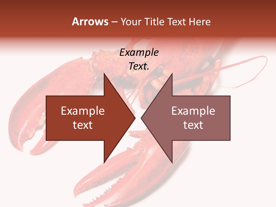 Length White Marines PowerPoint Template