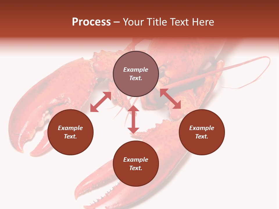 Length White Marines PowerPoint Template