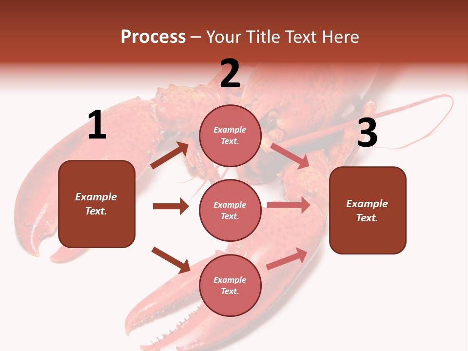 Length White Marines PowerPoint Template