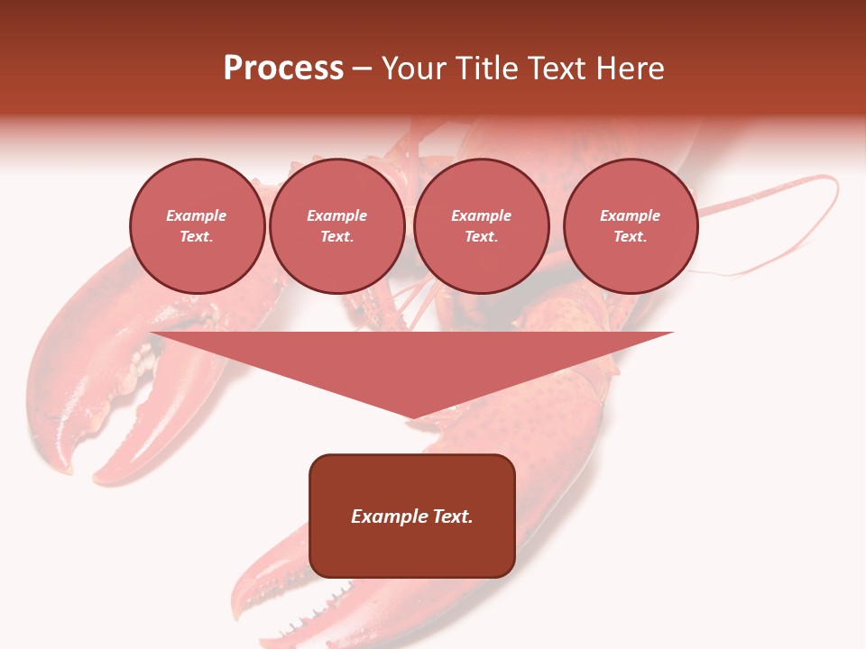 Length White Marines PowerPoint Template