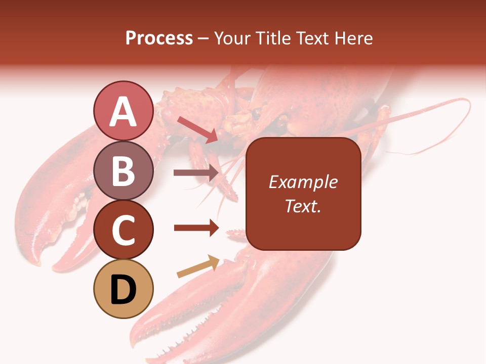 Length White Marines PowerPoint Template