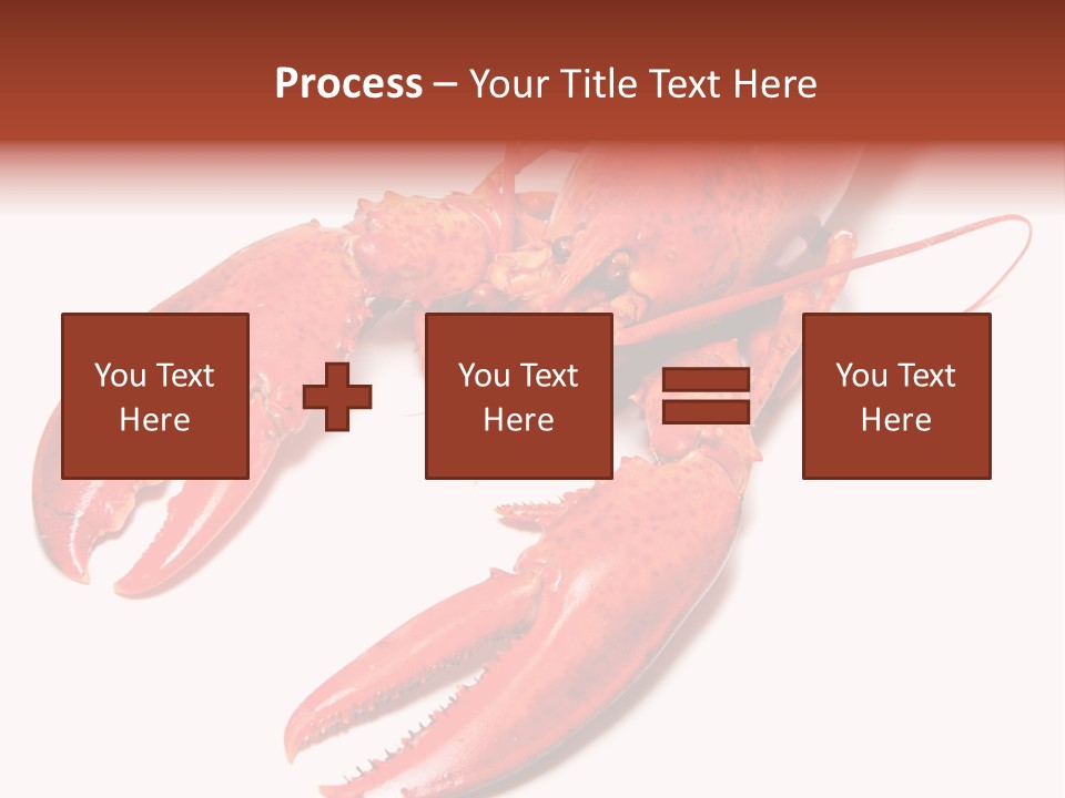 Length White Marines PowerPoint Template