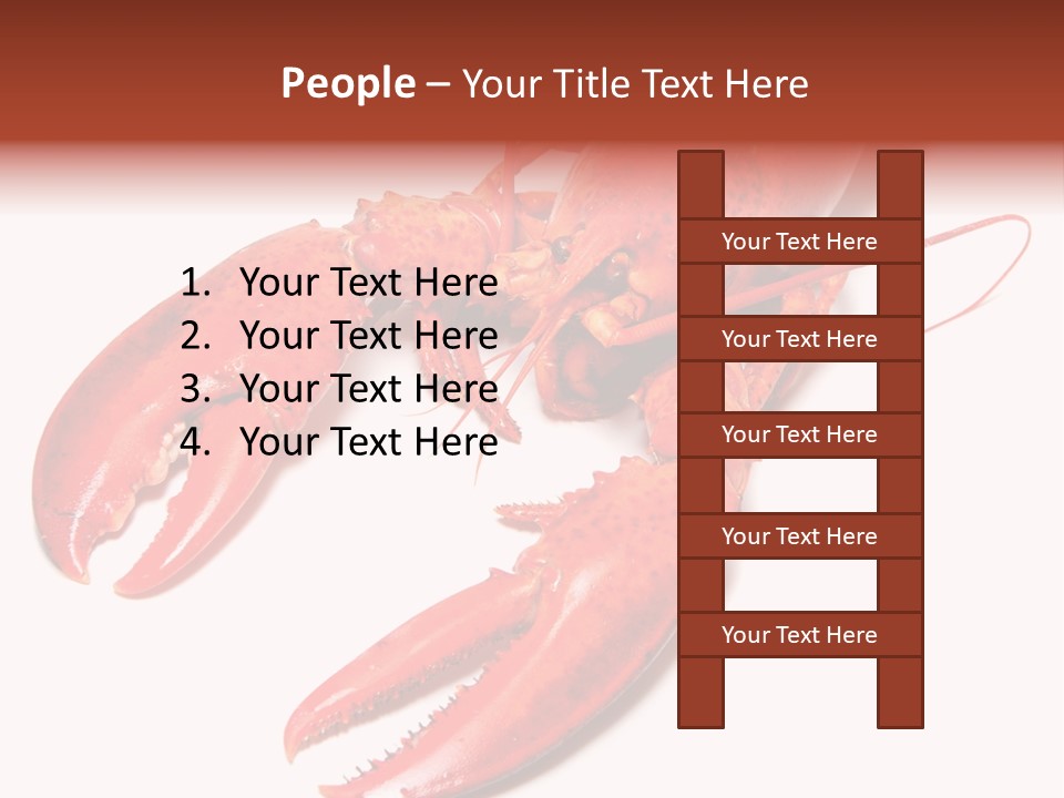 Length White Marines PowerPoint Template