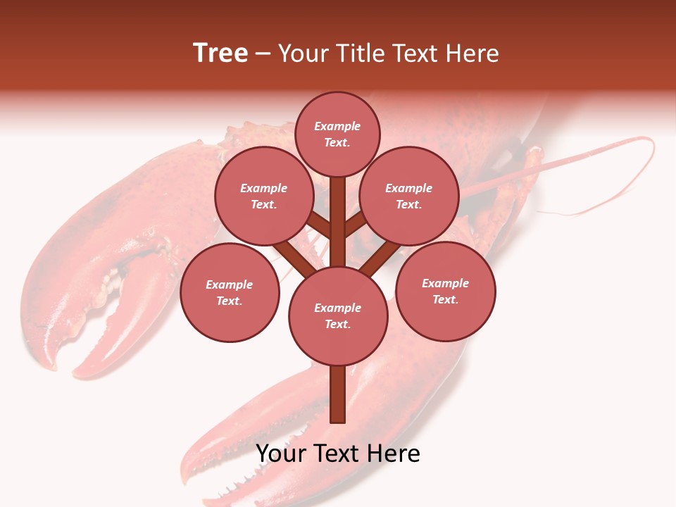 Length White Marines PowerPoint Template