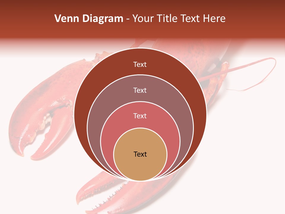 Length White Marines PowerPoint Template