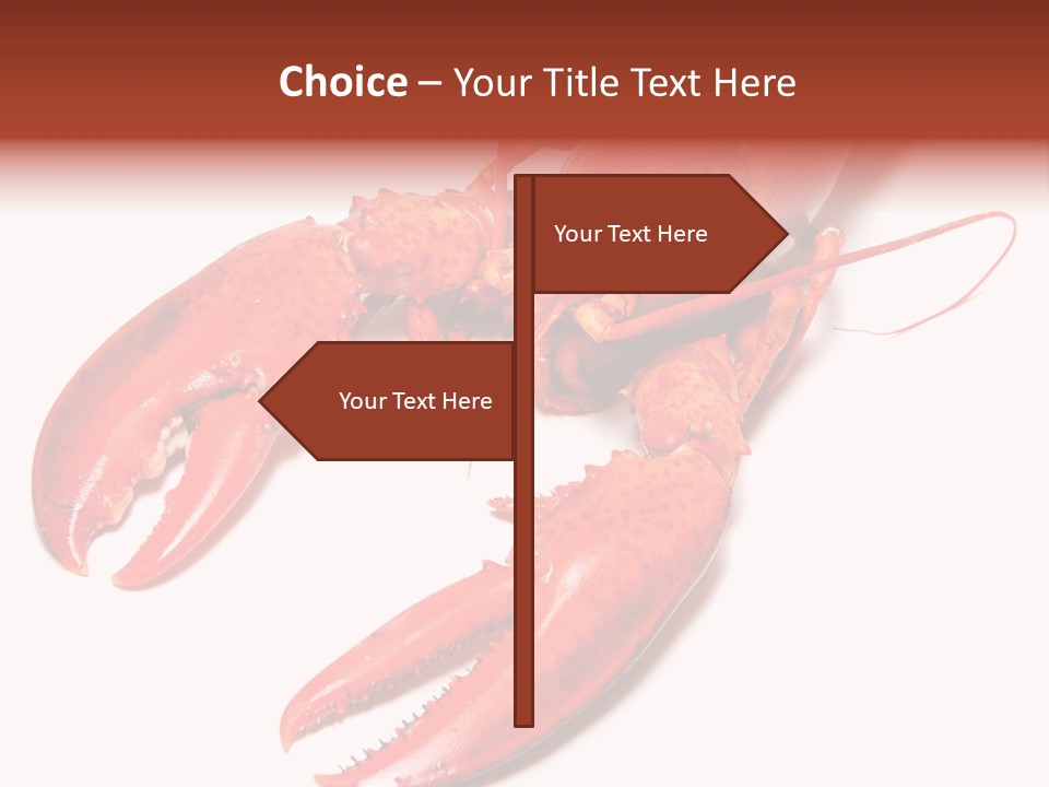 Length White Marines PowerPoint Template