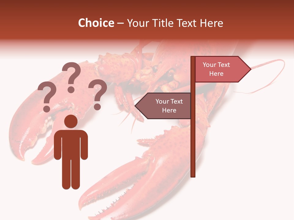 Length White Marines PowerPoint Template