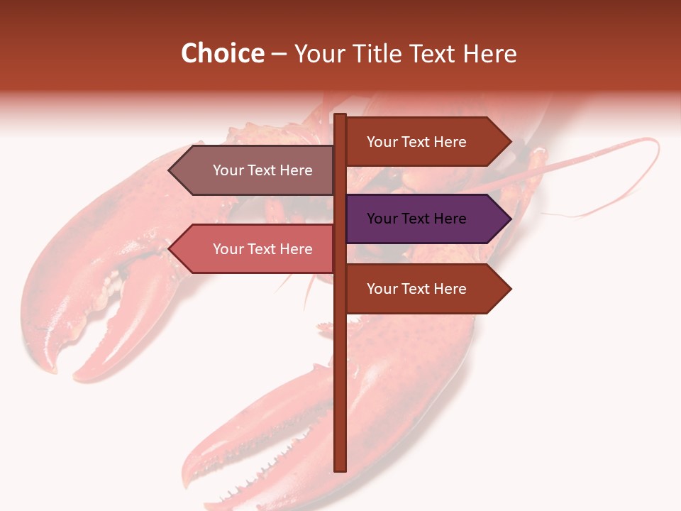 Length White Marines PowerPoint Template