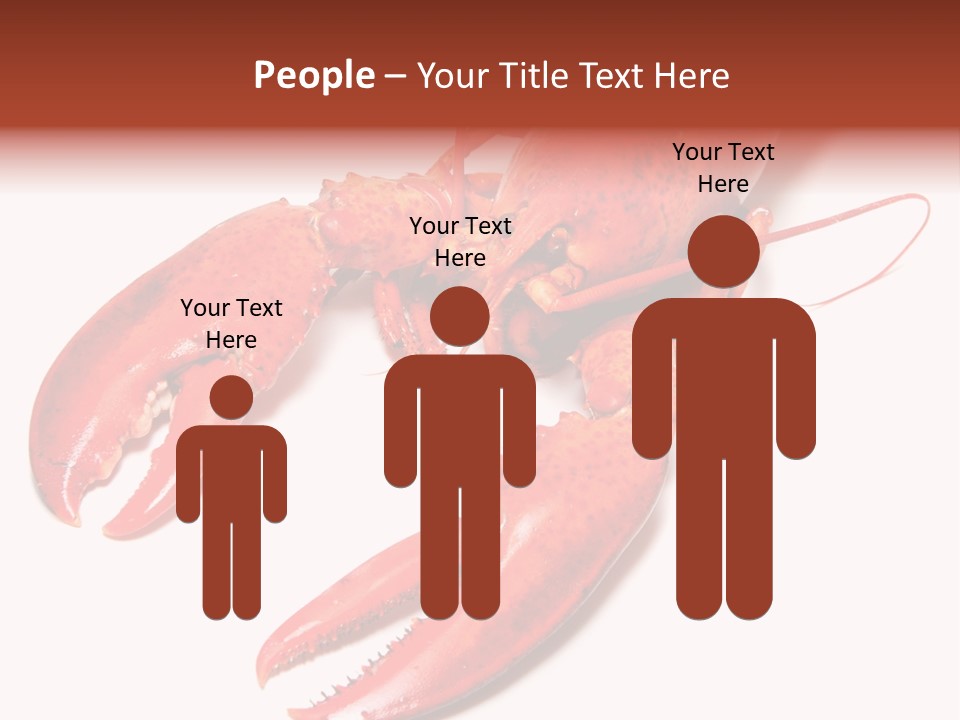 Length White Marines PowerPoint Template