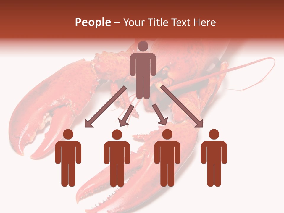 Length White Marines PowerPoint Template