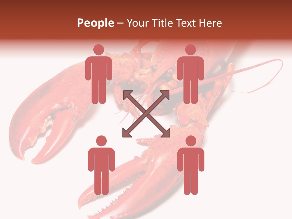 Length White Marines PowerPoint Template