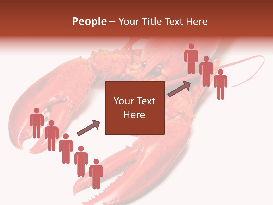 Length White Marines PowerPoint Template