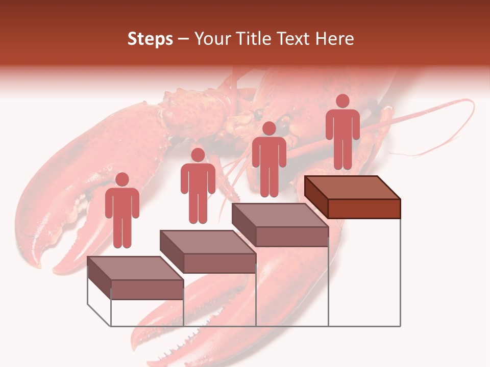 Length White Marines PowerPoint Template