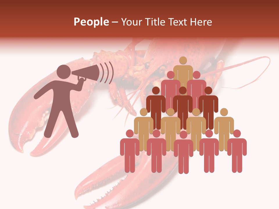 Length White Marines PowerPoint Template