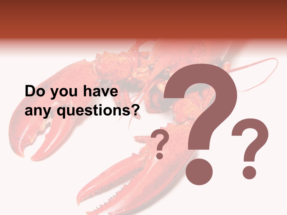 Length White Marines PowerPoint Template