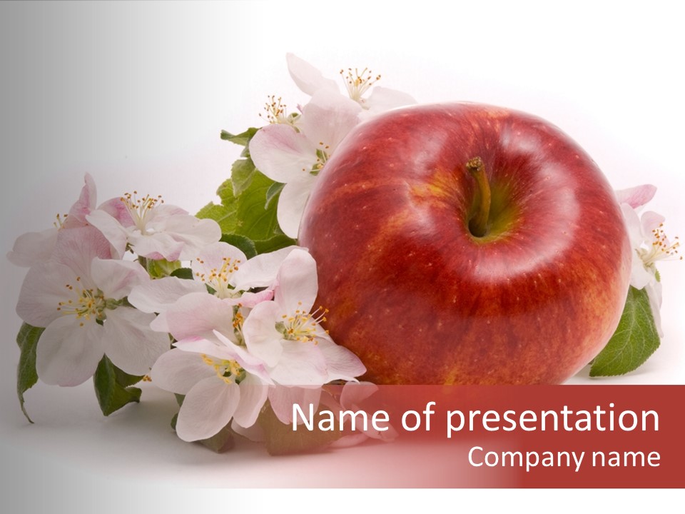 Leaf Plant Fruit PowerPoint Template